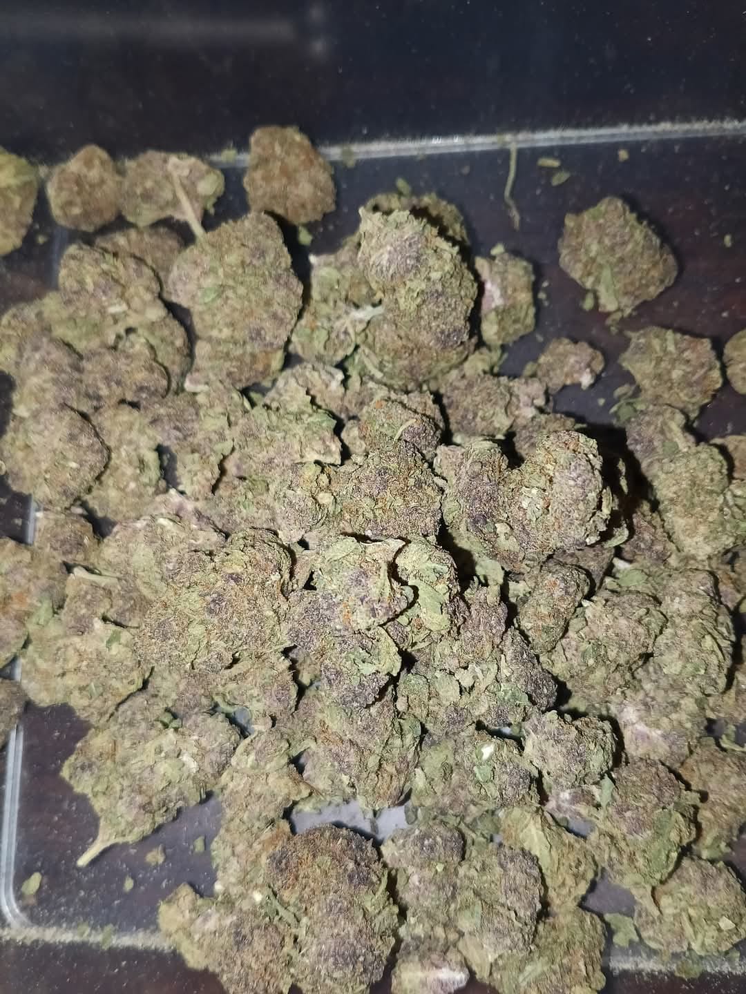Customer photo review of Candy Gas THCA Flower