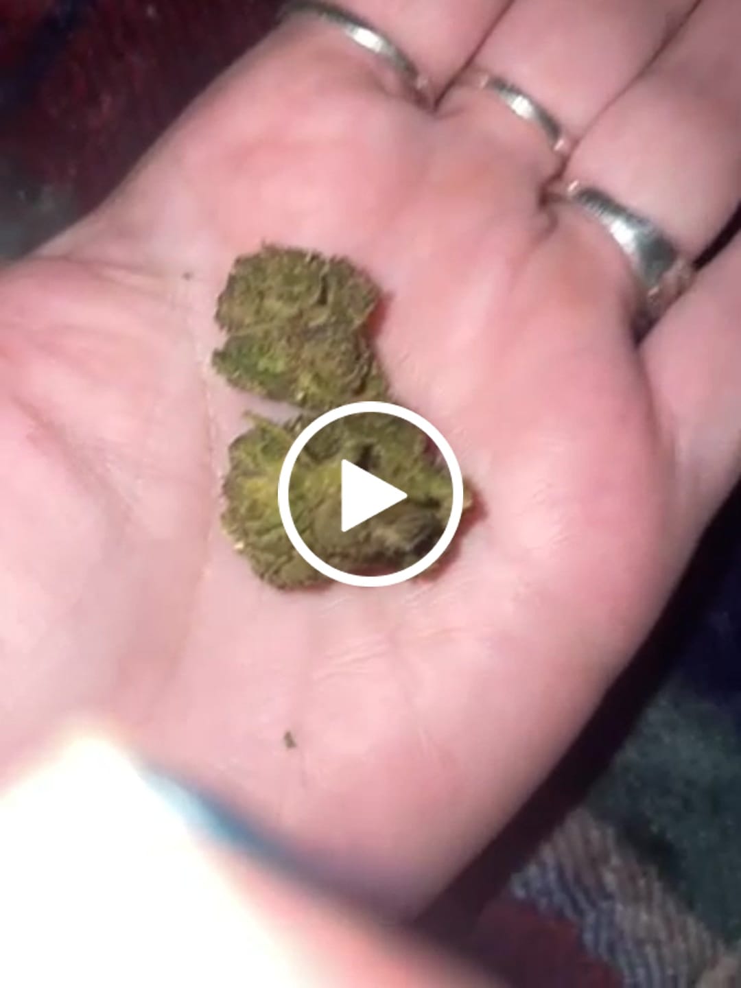 Customer video review of Greenhouse Smalls
