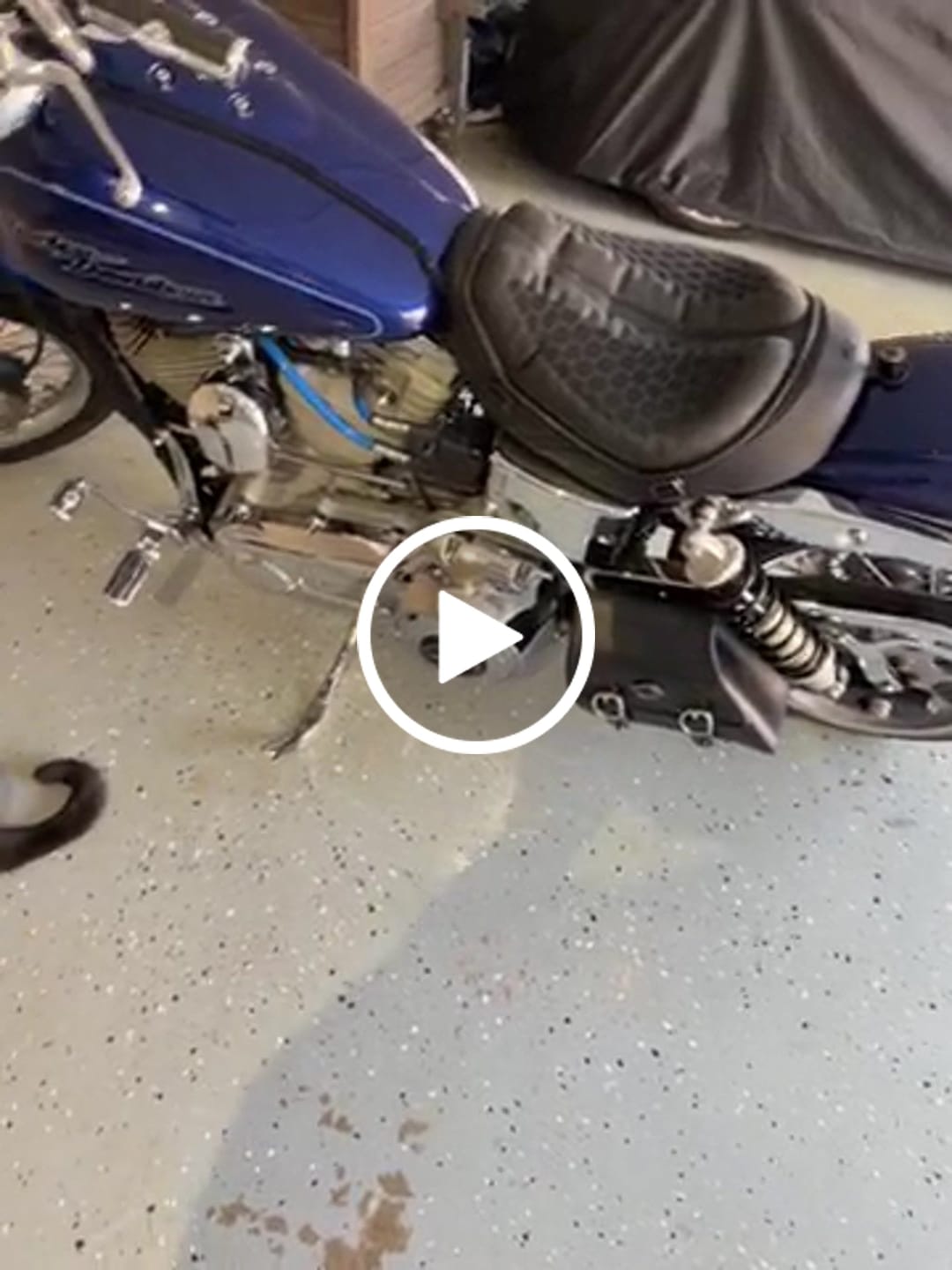Customer video review of 3L - Knapsack Harley Dyna Motorcycle Swing Arm Bag