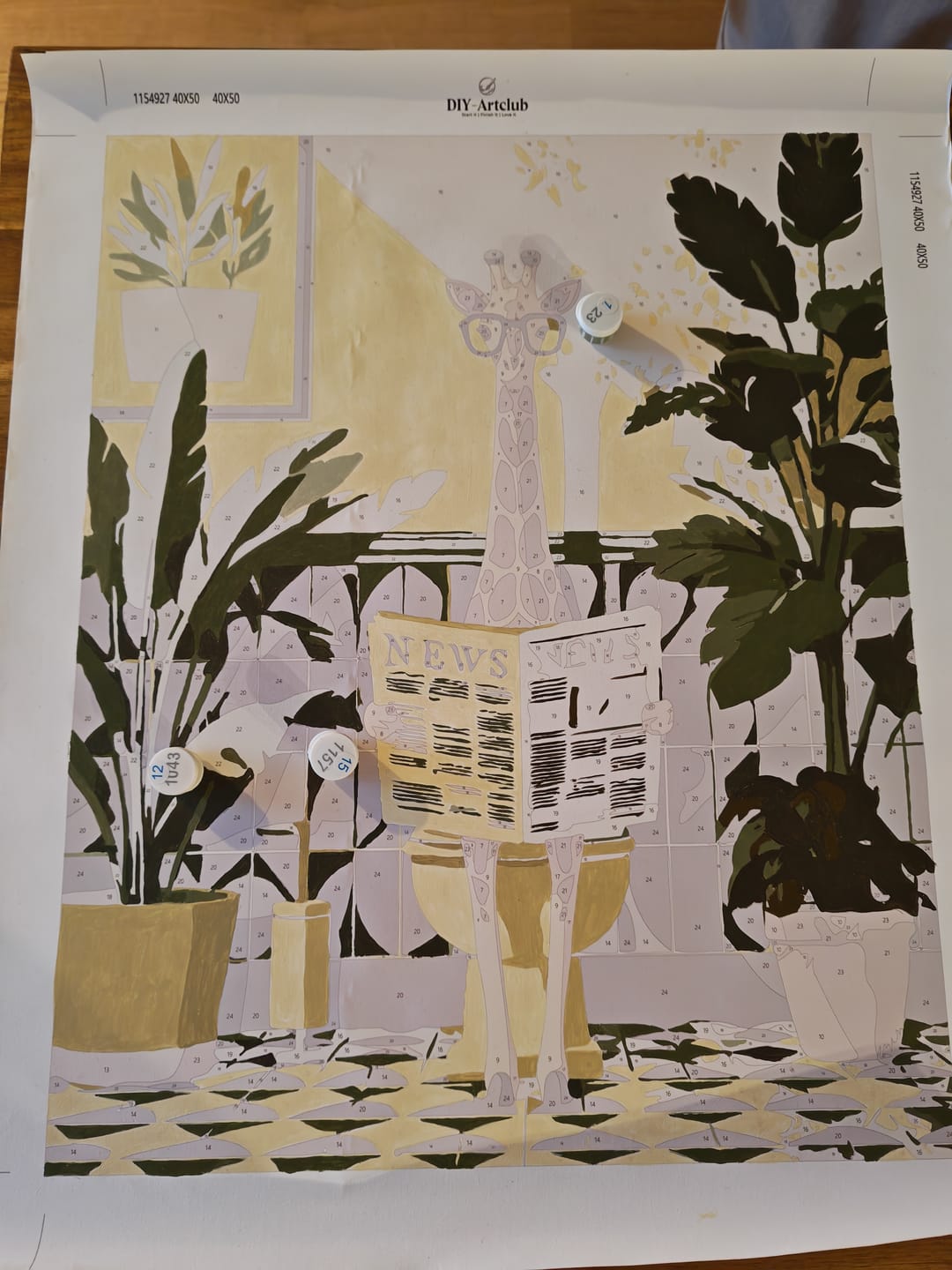 Customer photo review of Giraffe News | Paint by Number