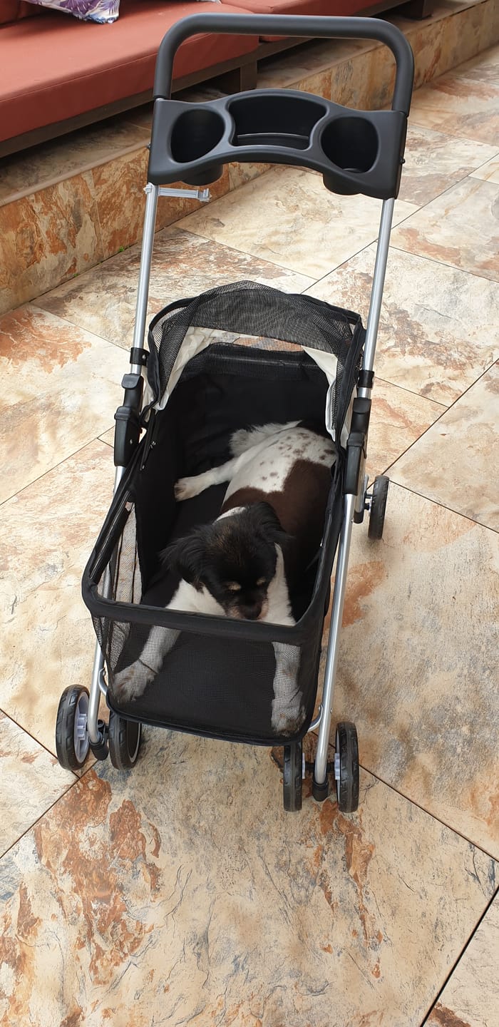 Customer photo review of Compact & Comfortable Pet Stroller