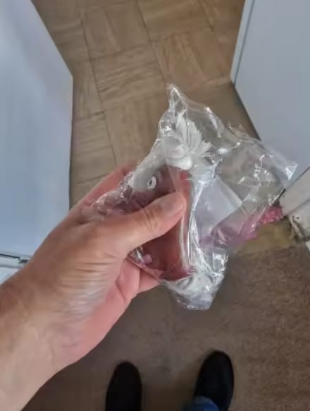 Customer photo review of Chew Toy That Saves Your Shoes & Cables