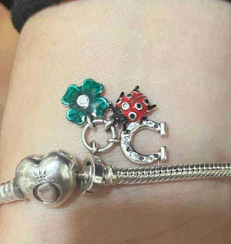 Customer photo review of Amuletos de la Buena Suerte
