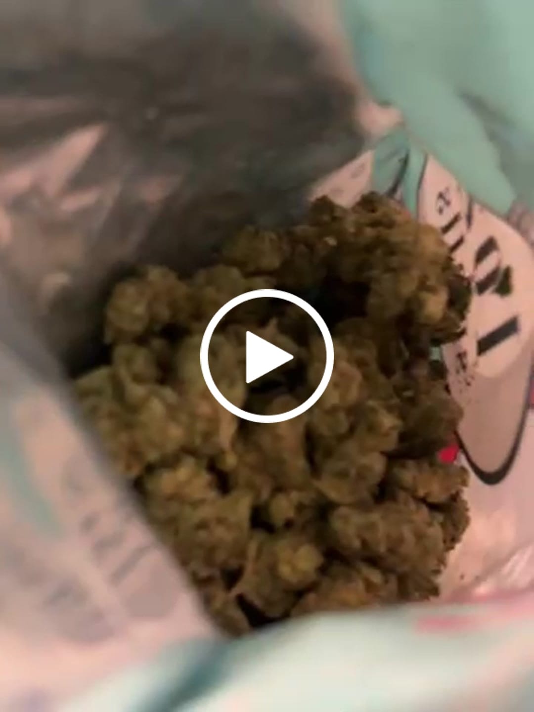Customer video review of 1 Oz Cheap THCA Small Buds