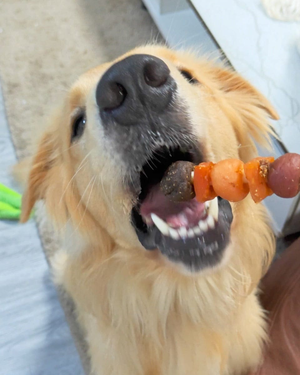 Customer photo review of Jungle Calling Dog Treats Variety Pack, Chicken Jerky Rings & Multi-Flavor Dog Kabobs, 2-Item Bundle, 21.2oz
