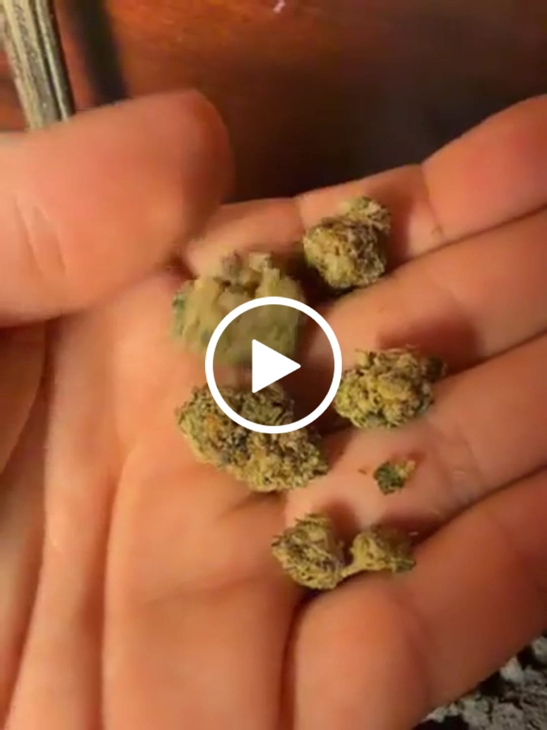 Customer video review of Purple Push Pop -THCa Flower