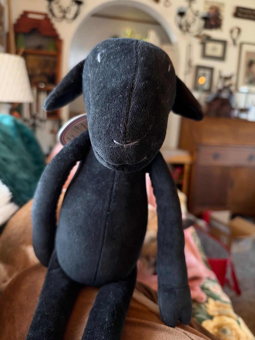 Customer photo review of MAIA THE SHEEP - L