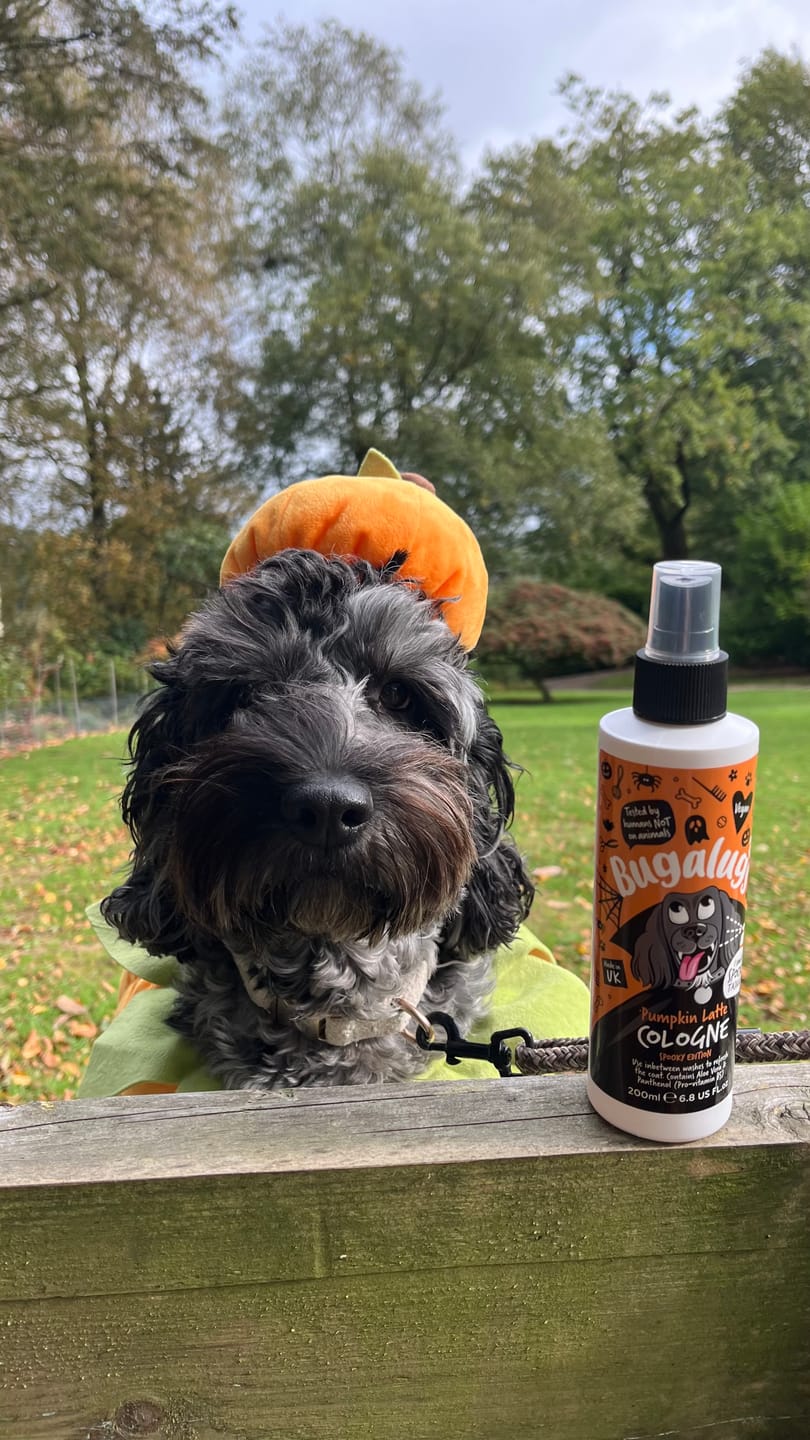 Customer photo review of Spooky Edition: Pumpkin Latte Dog Cologne