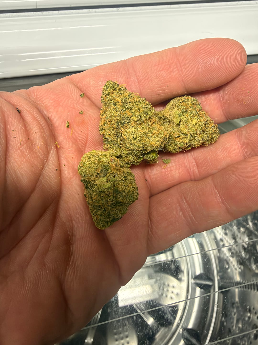 Customer photo review of Biscotti THCA Flower (Premium)