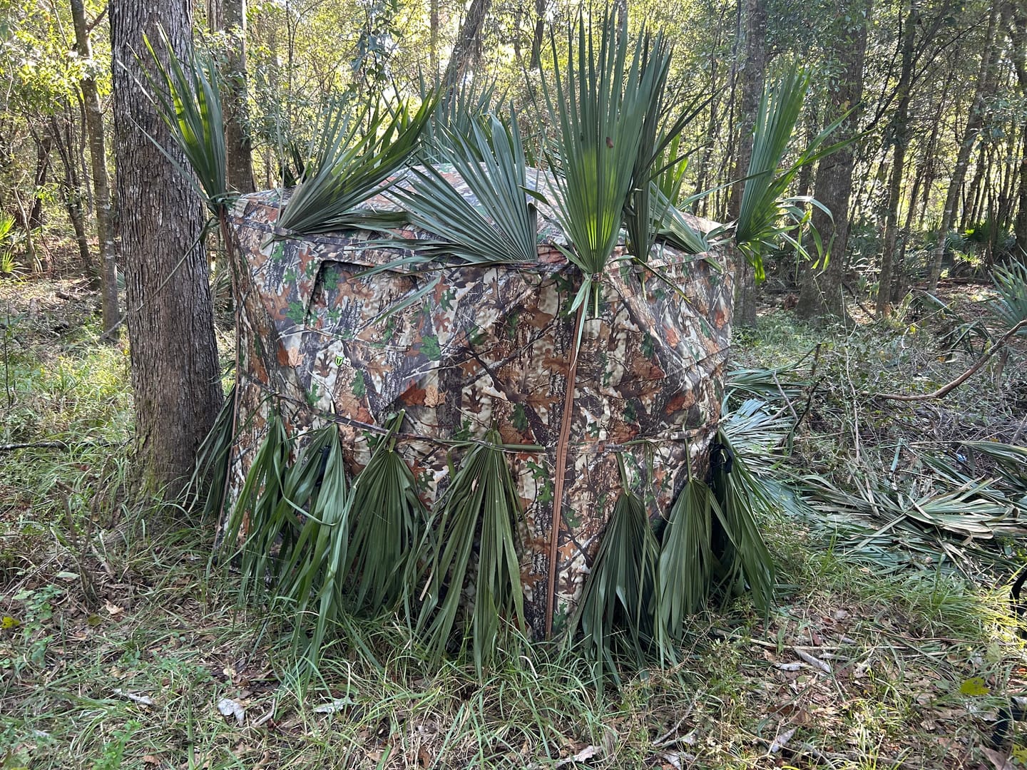 Customer photo review of FLASH SALE VisX/VisMax See Through Hunting Blind, Pop Up Ground Deer Blind