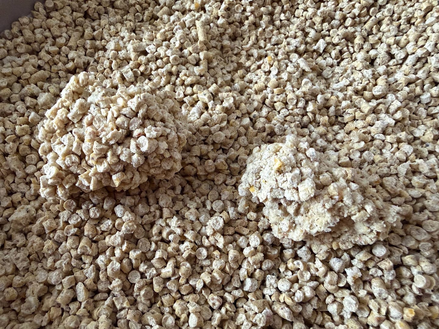 Customer photo review of SAGAPO Żwirek Kukurydziany dla Kota Zbrylający Naturalny Spłukiwalny 10L