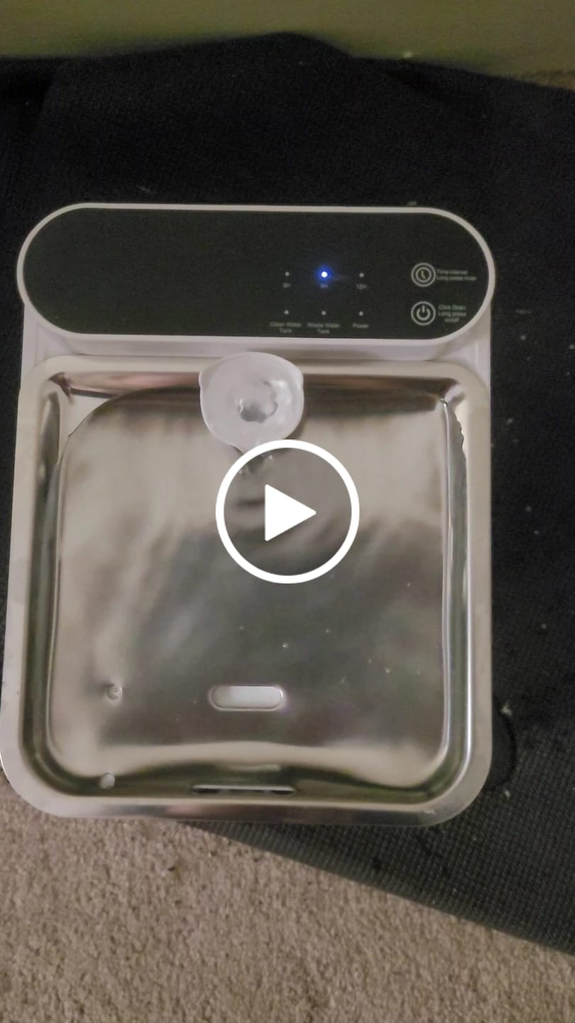 Customer video review of Purestream AquaOne - Automatic Cat Fountain