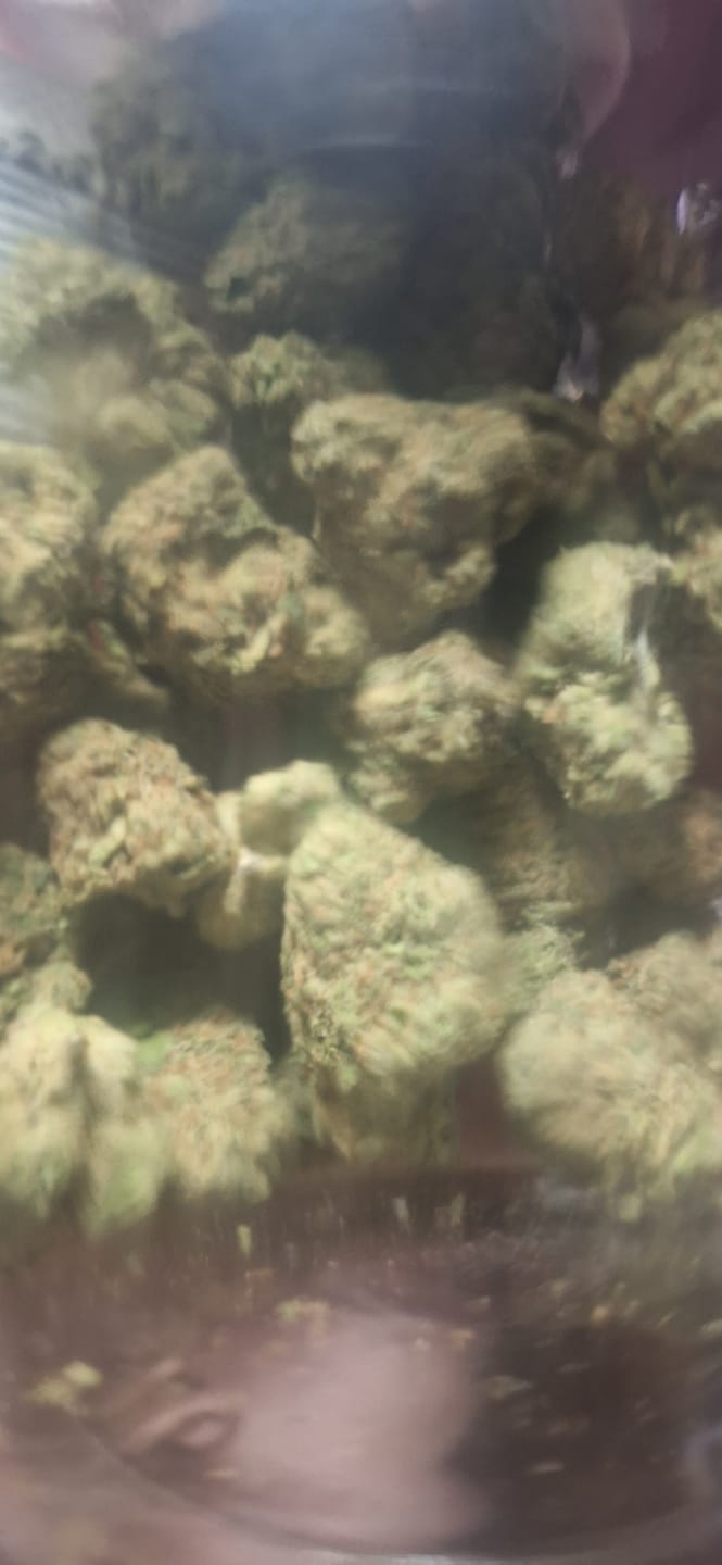 Customer photo review of Lyon King THCA Flower