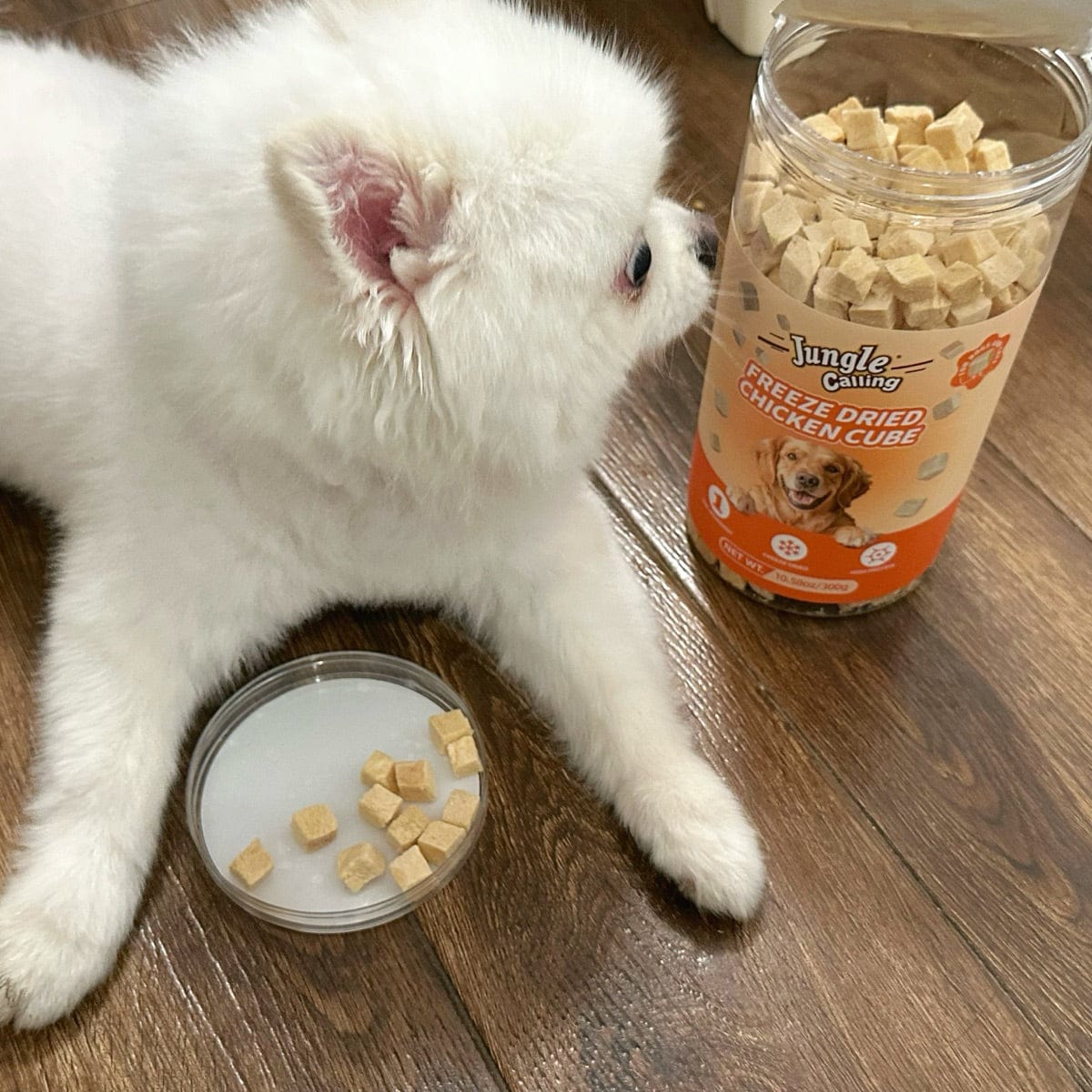 Customer photo review of Freeze-Dried Chicken Cat & Dog Treats, 10.58 oz