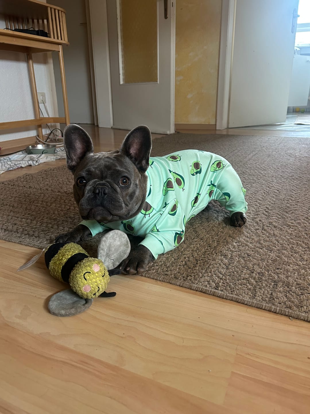 Customer photo review of Dog Pajama - Avocado