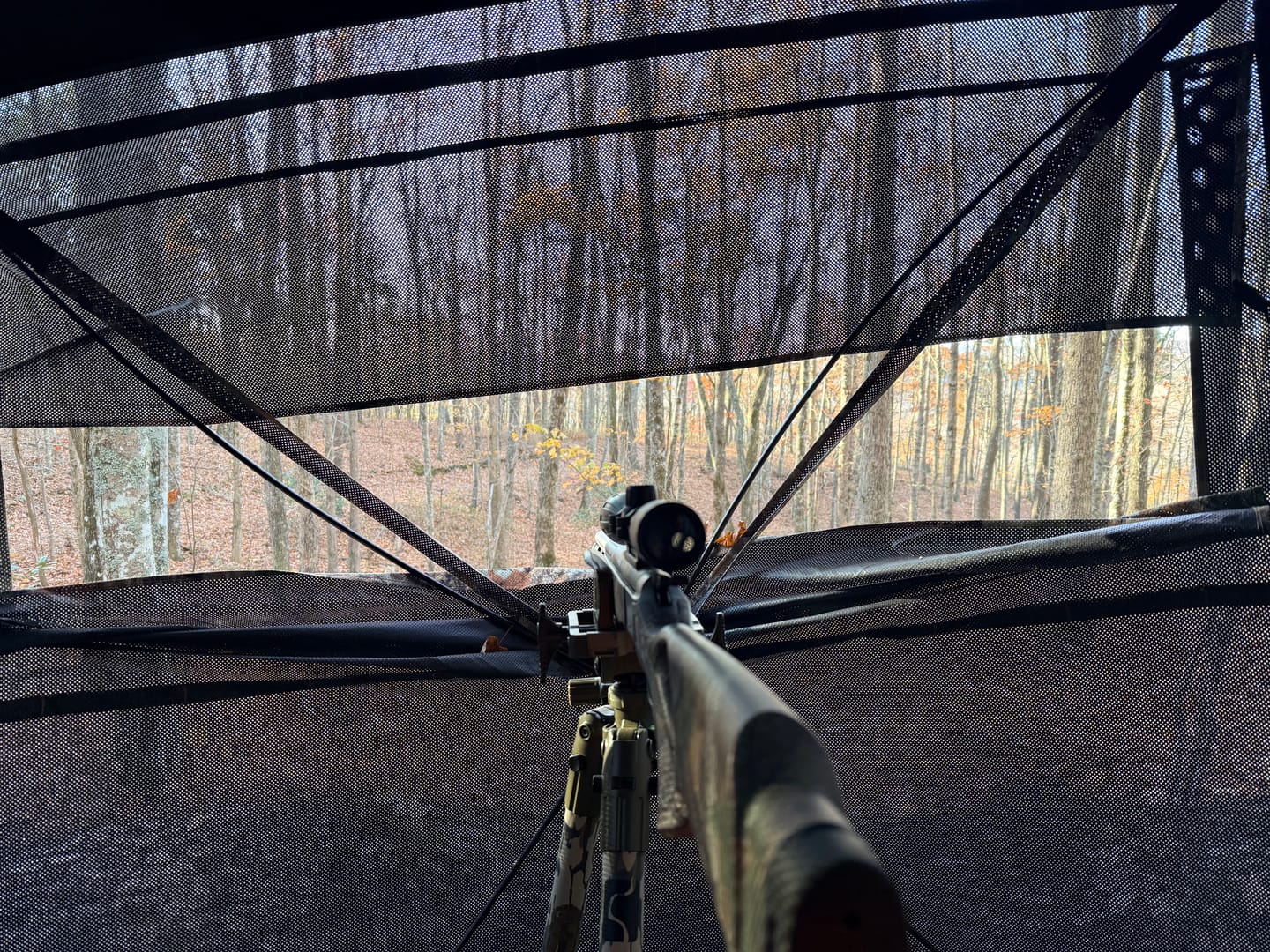 Customer photo review of Vis360 3-4 Man Hunting Blind | 360 See Through Hunting Pop Up Blind with 4 Full Panels | Portable Ground Blind for Deer & Turkey Hunting