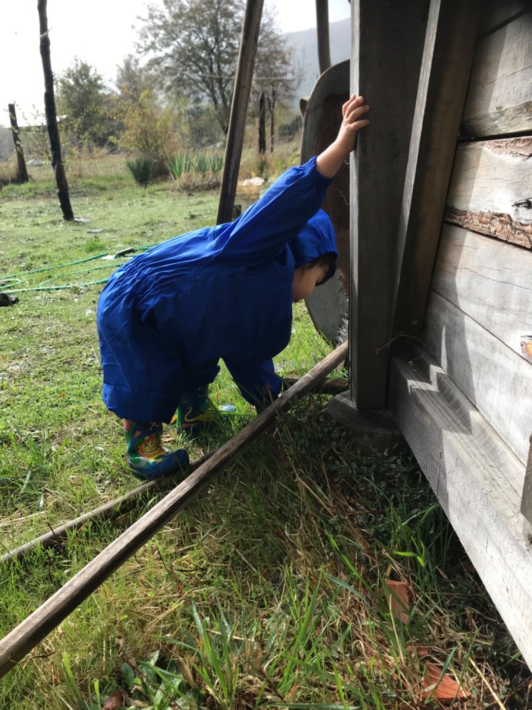 Customer photo review of Overol 100% impermeable reciclado 5.000mm marca Muddy Puddles