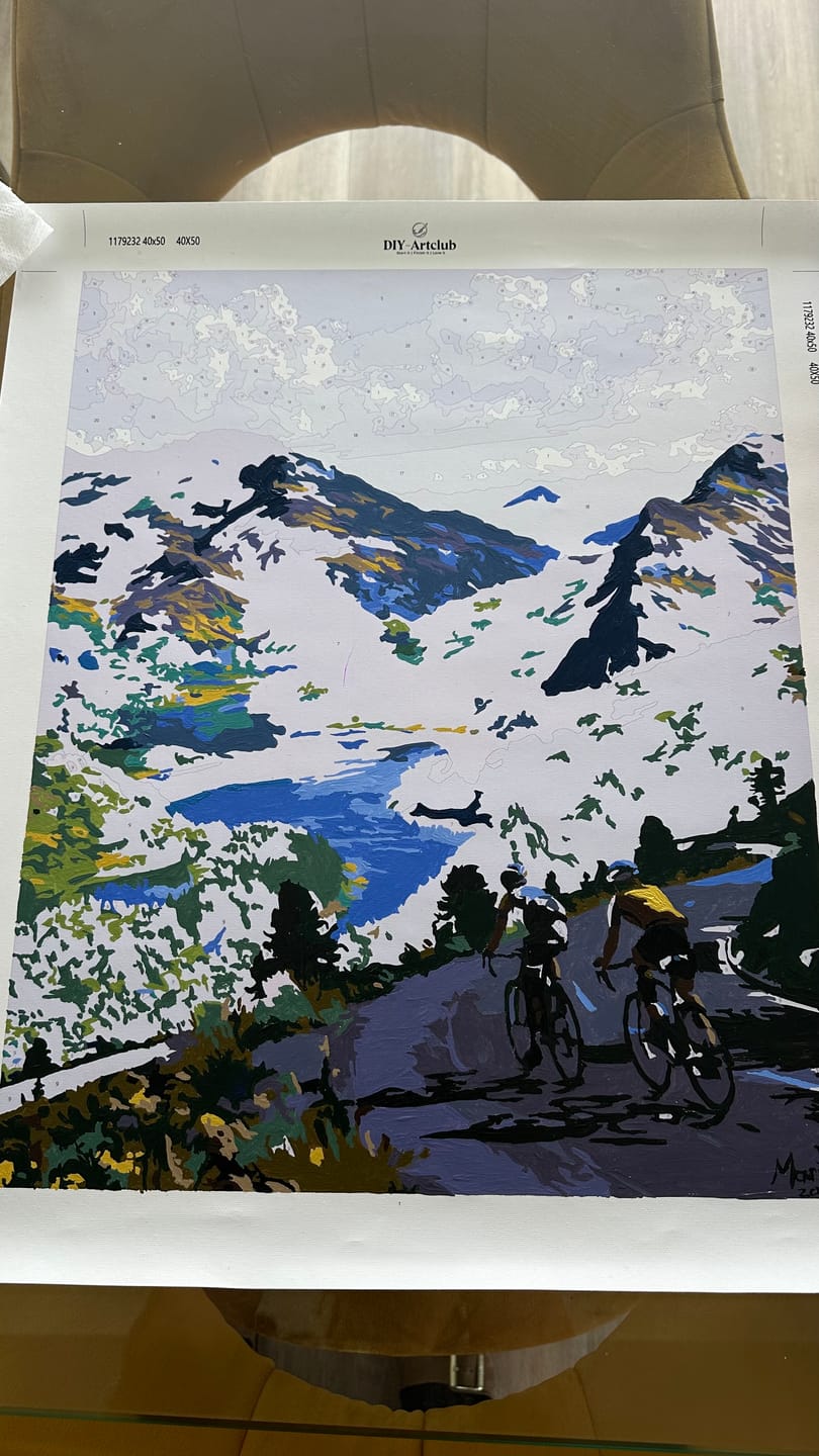 Customer photo review of Summit Ride | Paint by Number