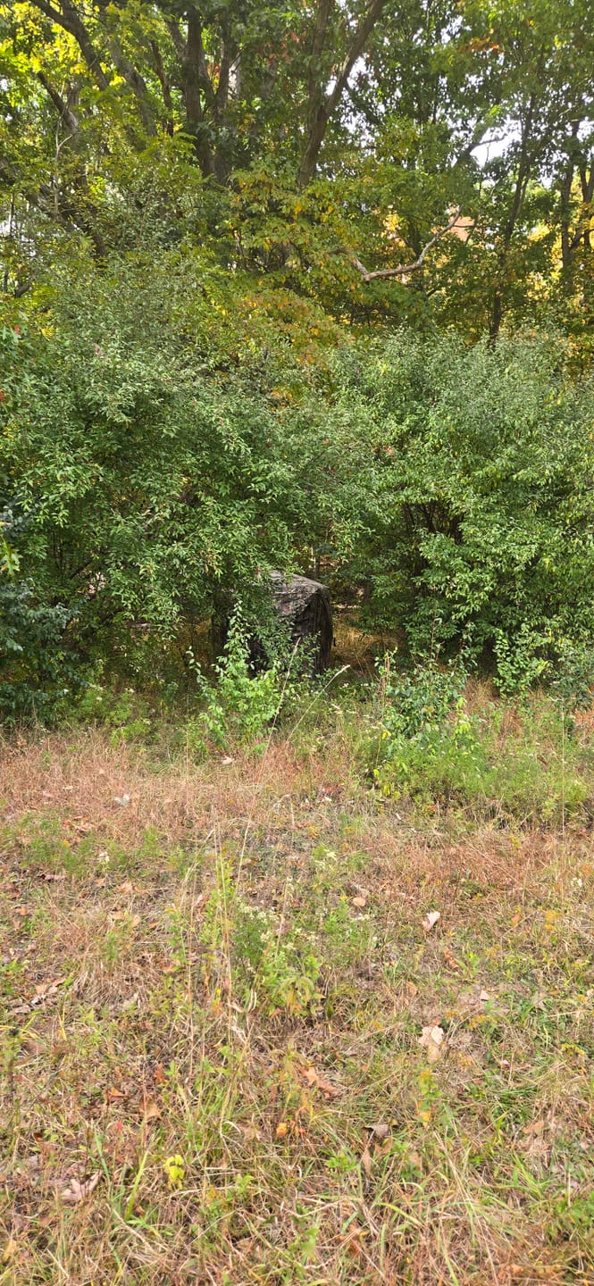 Customer photo review of VisX/VisMax 270 Degree See Through Pop Up Hunting Blind