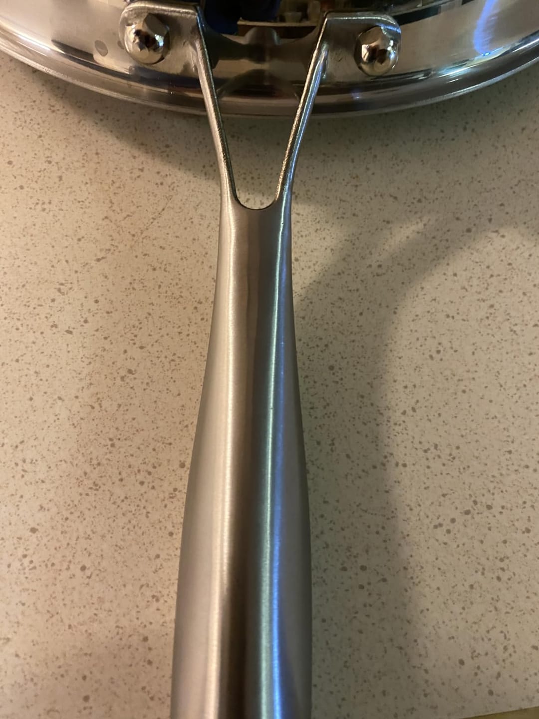 Customer photo review of Pure Pan — Titanium Non-Stick Frying Pan