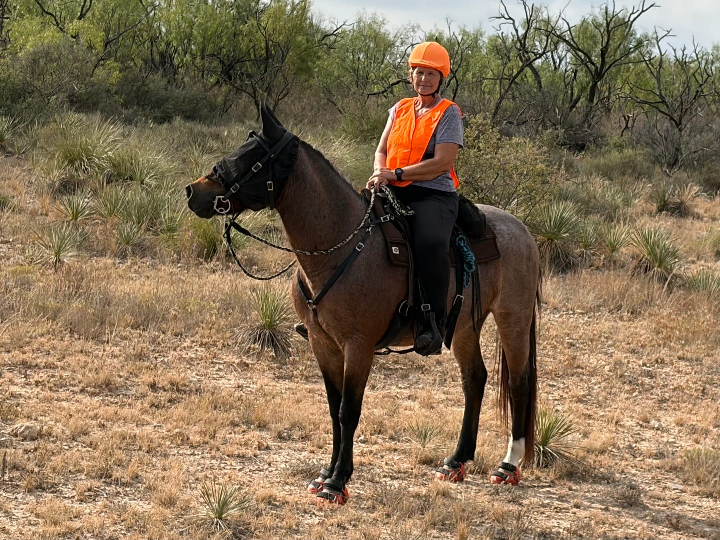 Customer photo review of Renegade® Viper Shield™ Hoof Boot Seconds - Cosmic Orange