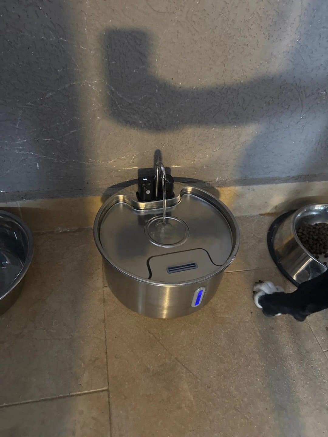 Customer photo review of Motion-Sensor Stainless Steel Pet Fountain