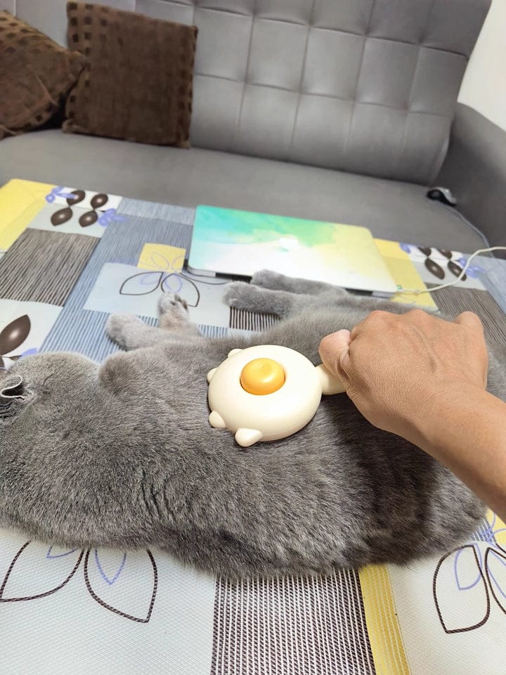 Customer photo review of Cat Grooming Brush with Release Button