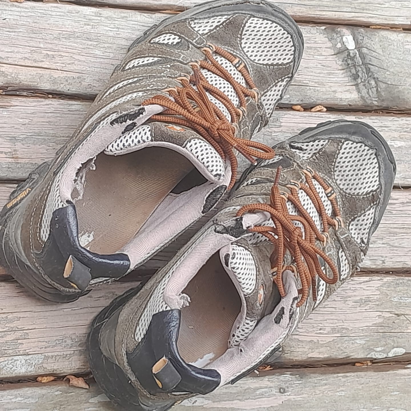 Customer photo review of Laces 48" Round