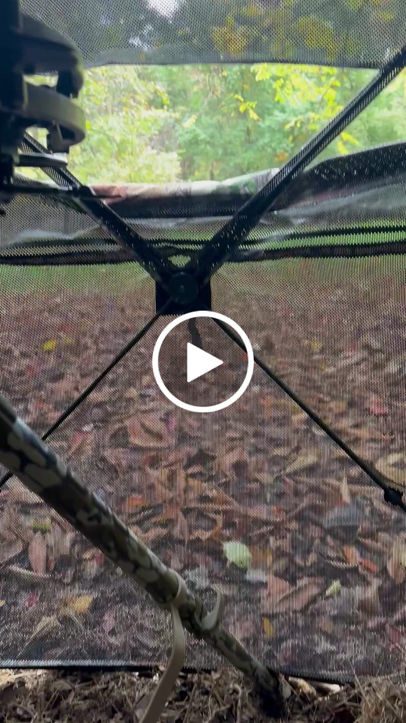 Customer video review of FLASH SALE VisST See-Through Pop-Up Ground Blinds with Silent Magnetic Door