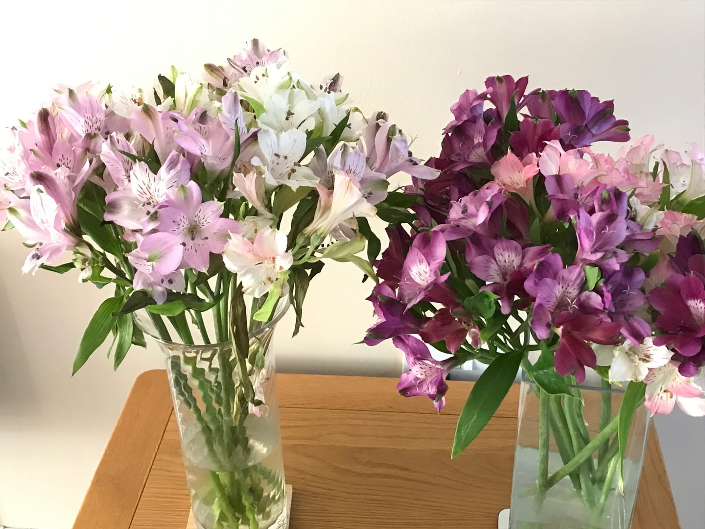 Customer photo review of Guernsey Mixed Alstroemeria Flowers
