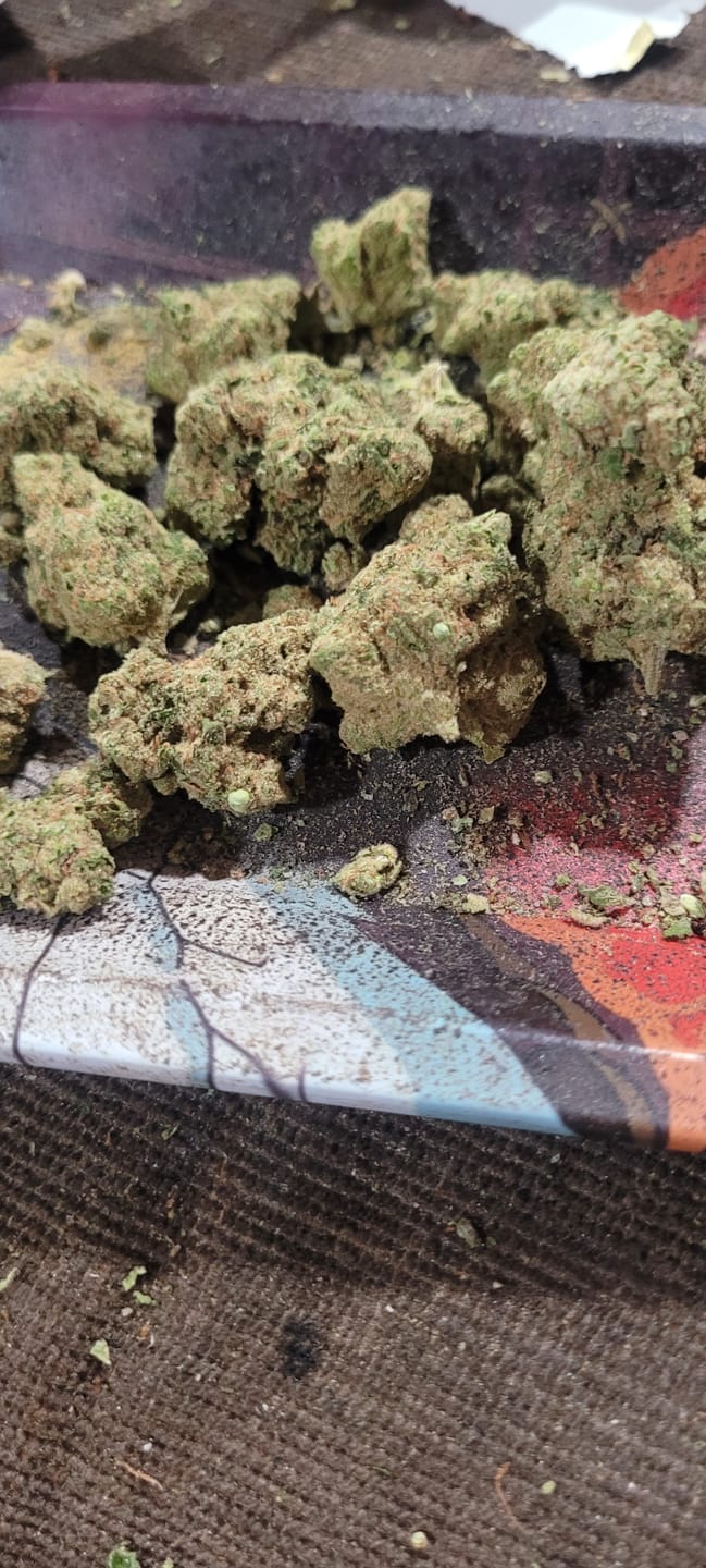 Customer photo review of Purple Haze