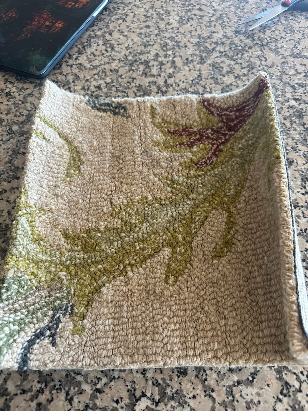 Customer photo review of Ivory and Green Custom Made French Design Aubusson Hand Tufted Wool Area Rug