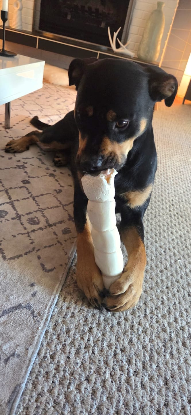 Customer photo review of 10-12 Inch Peanut Butter Cheek Roll