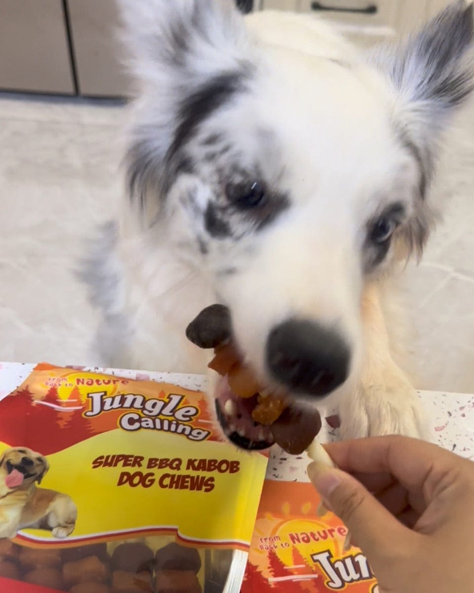 Customer photo review of Jungle Calling Dog Treats Variety Pack, Chicken Jerky Rings & Multi-Flavor Dog Kabobs, 2-Item Bundle, 21.2oz