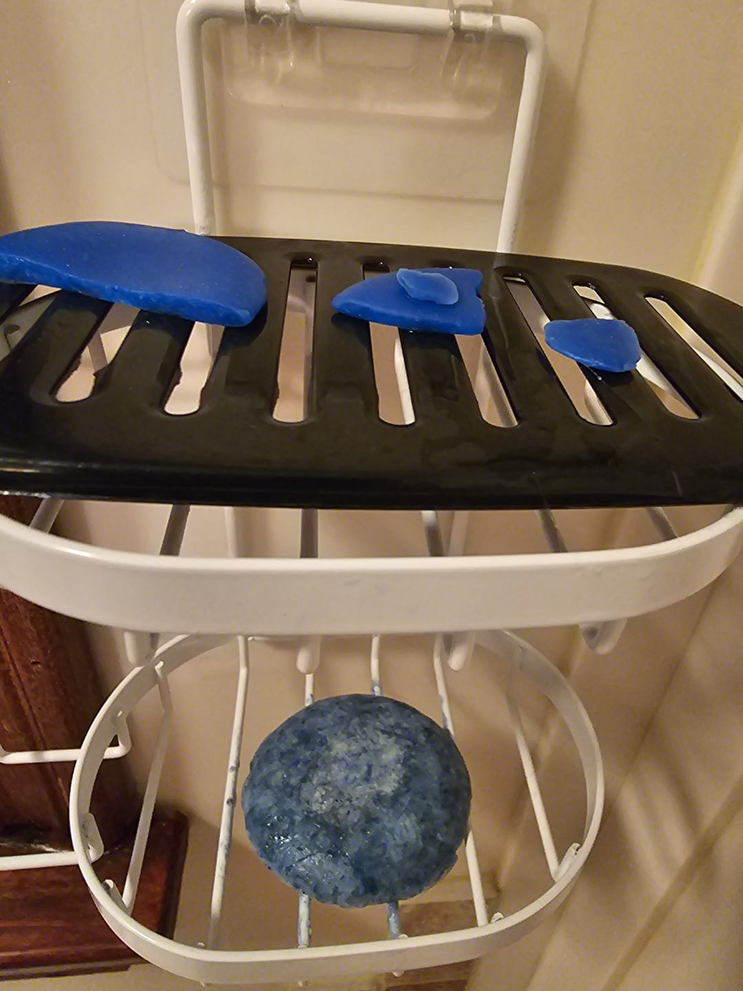Customer photo review of Blueberry Fields Shampoo & Conditioner Bundle