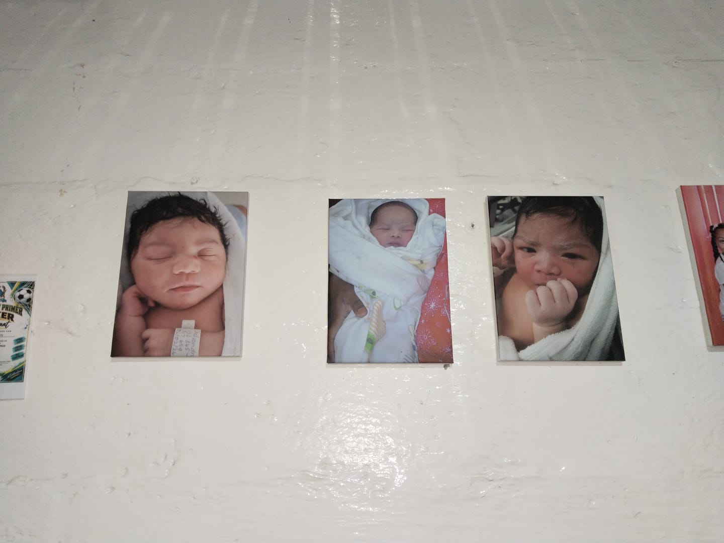 Customer photo review of 3 x A4 Canvas Combo