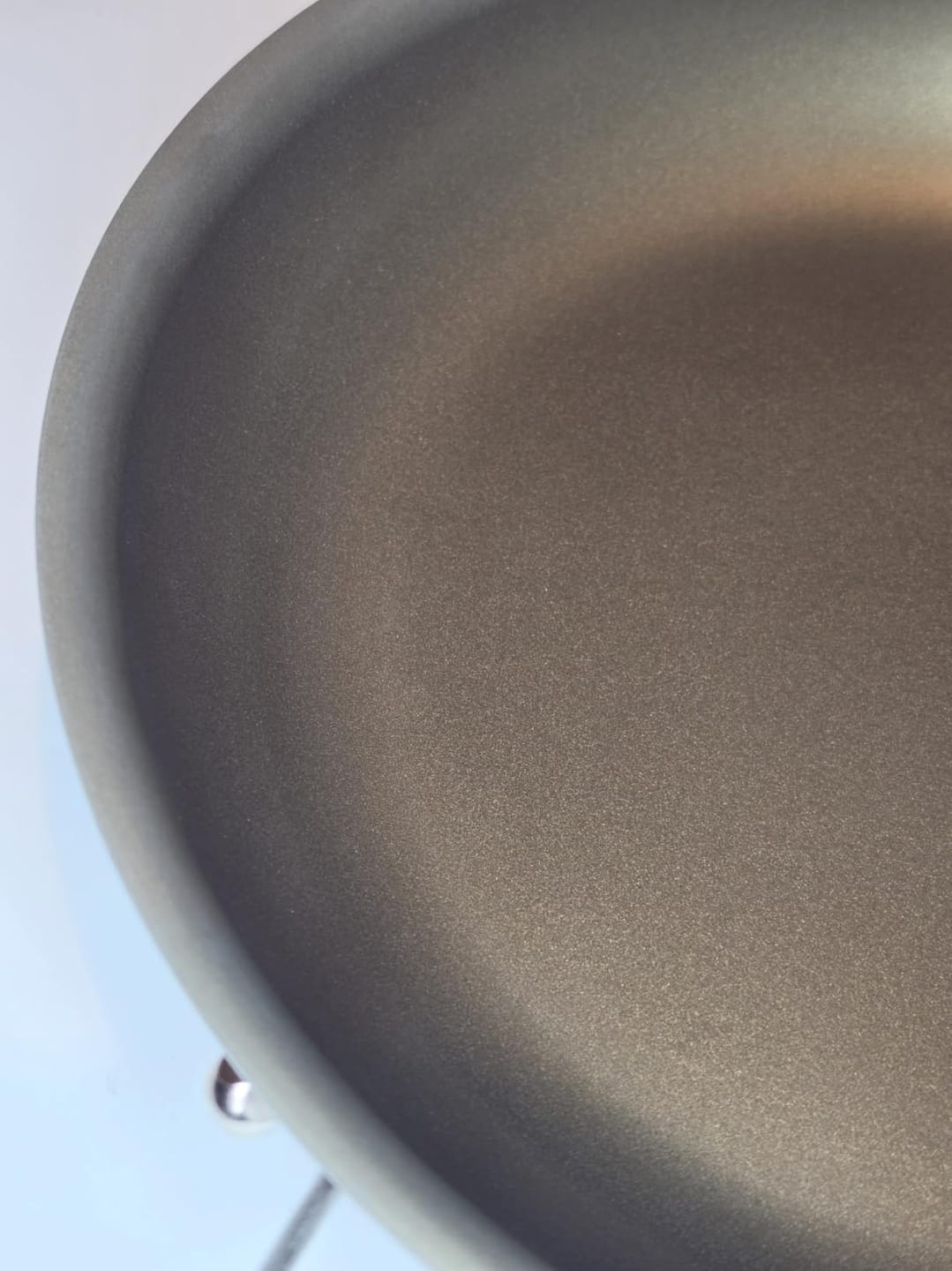 Customer photo review of Pure Pan — Titanium Non-Stick Frying Pan