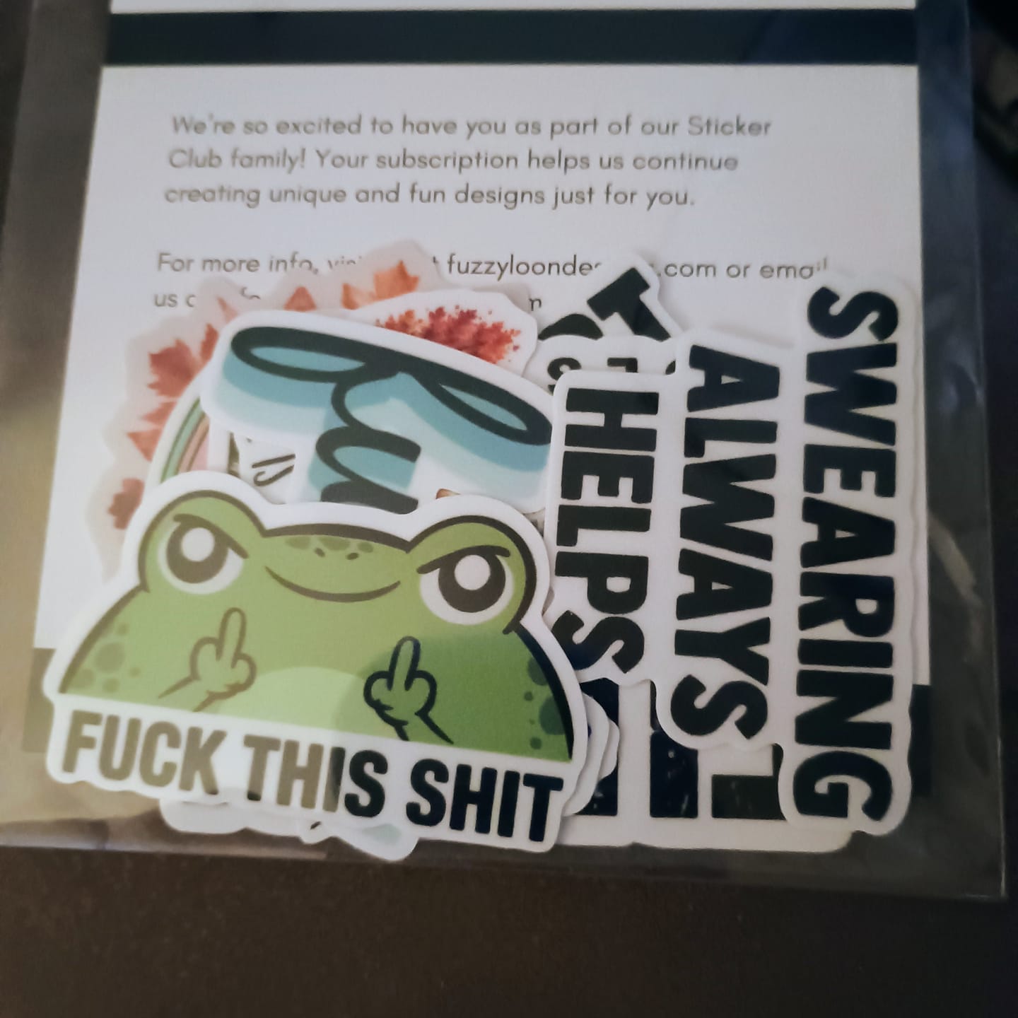 Customer photo review of STICKER CLUB | Monthly Sticker Subscription