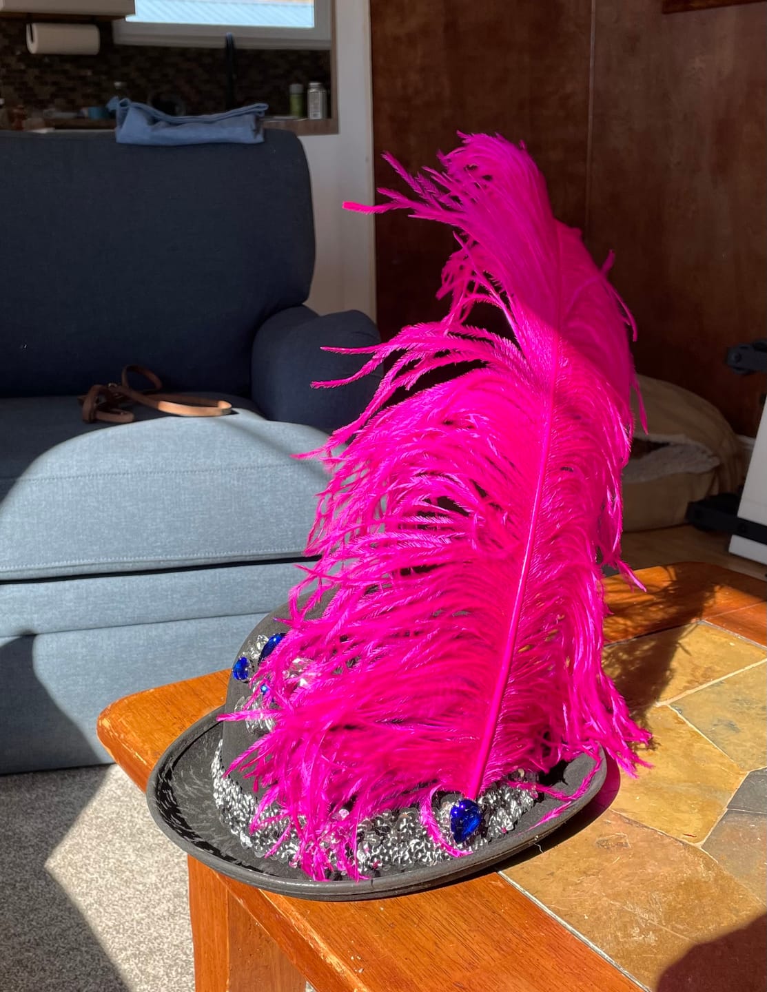 Customer photo review of Ostrich Plumes – The ultimate choice for designers and performers