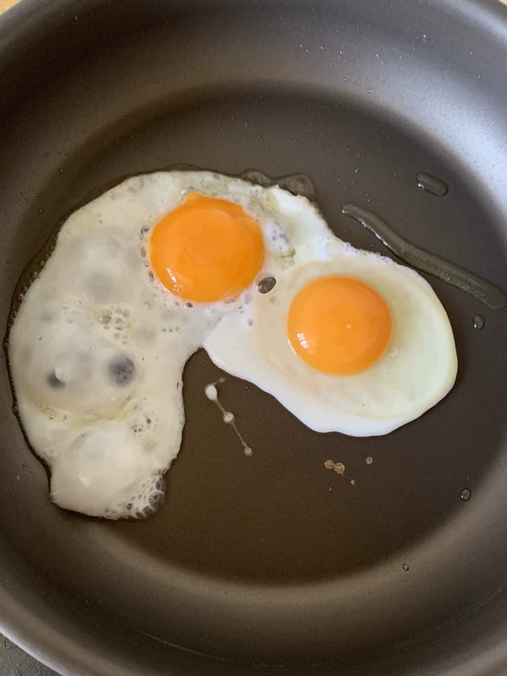 Customer photo review of Pure Pan — Titanium Non-Stick Frying Pan