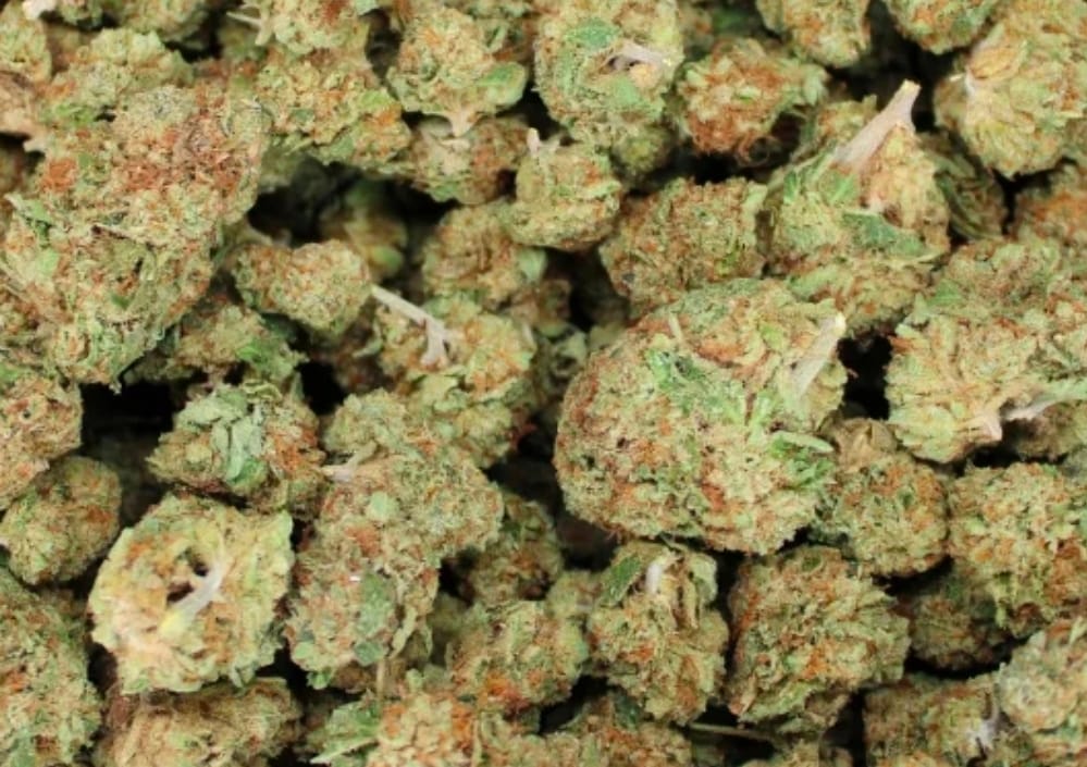 Customer photo review of Cheap THCA Smalls Pound