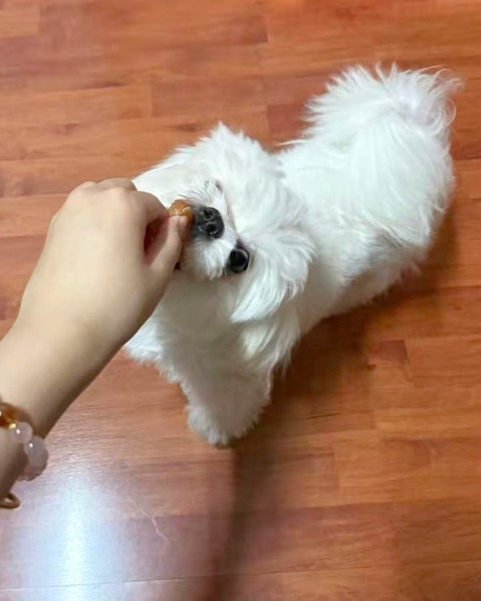 Customer photo review of Chicken Jerky Rings for Dogs with Glucosamine , 10.6 oz