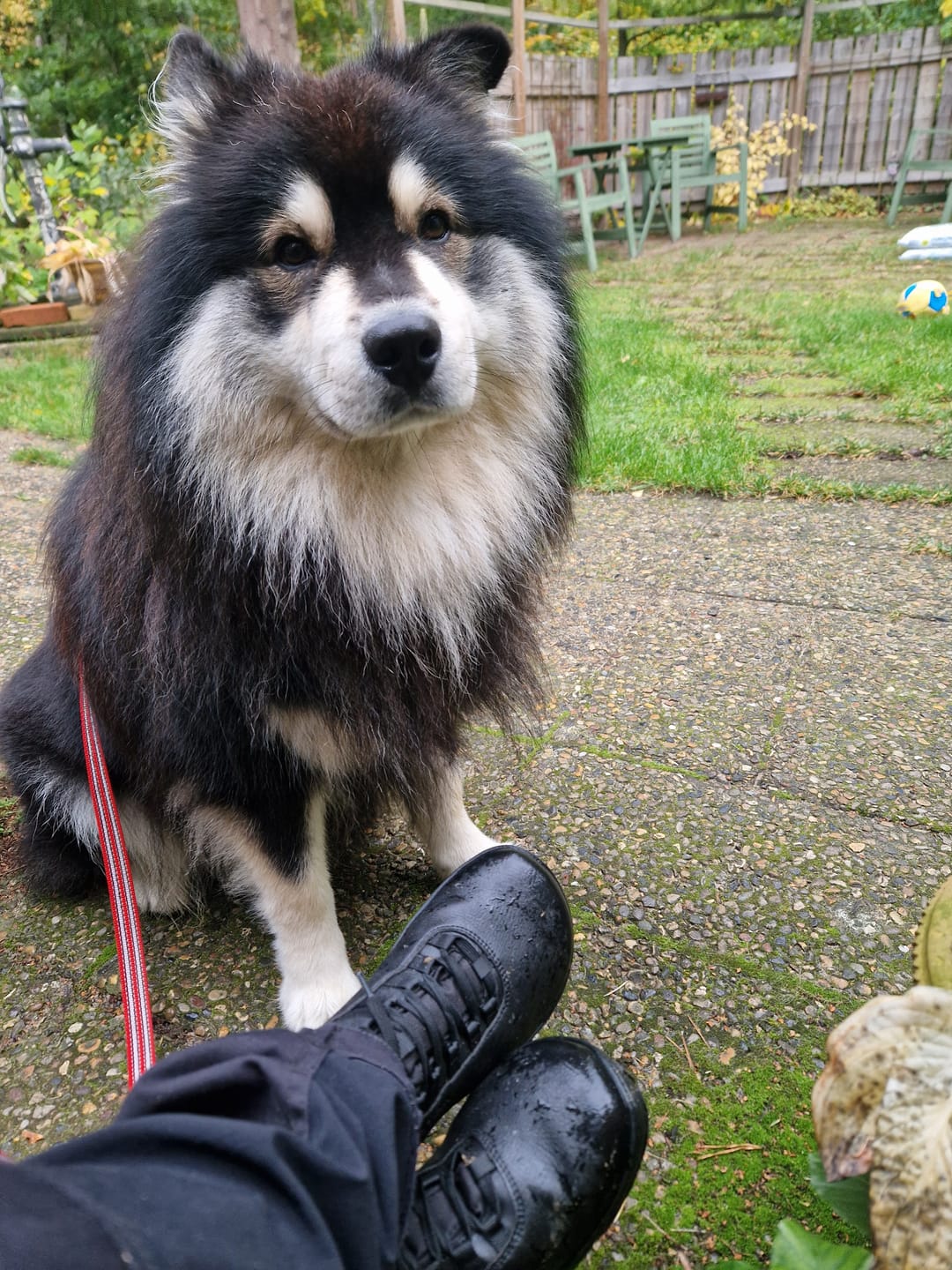 Customer photo review of Vaistoa Uoma 2 | Barefoot Trekking Boots