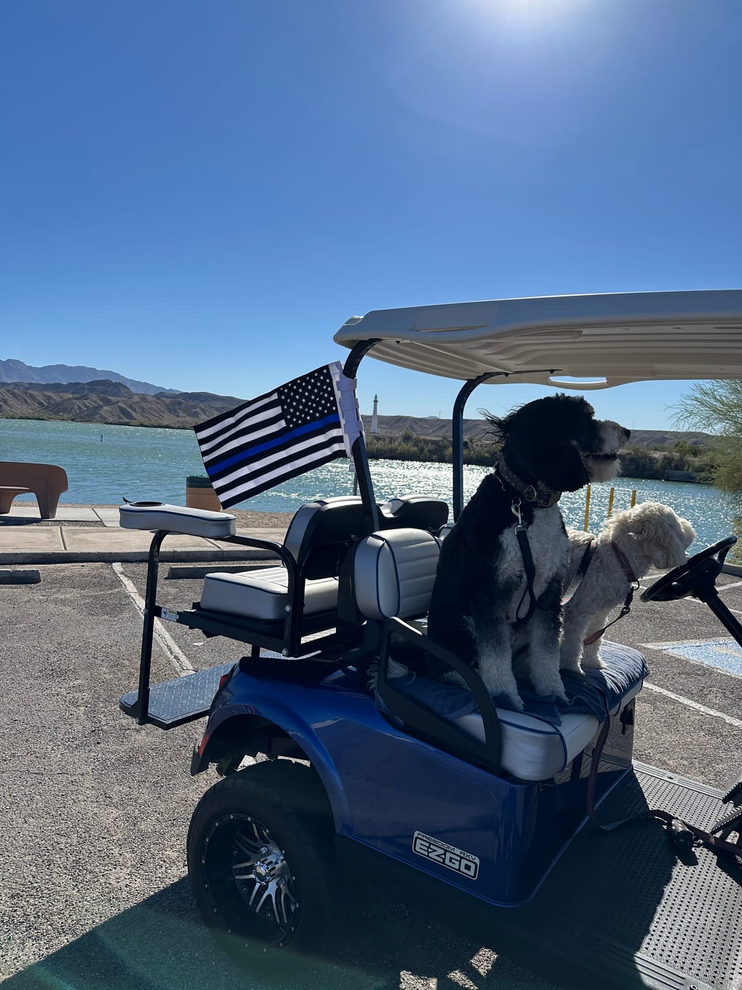 Customer photo of the Thin Blue Line Flag (Police Flag)