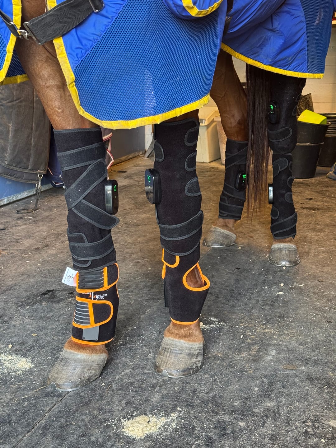 Customer photo review of EquiThera K2 — Så senan får rätt stöd att läka på djupet