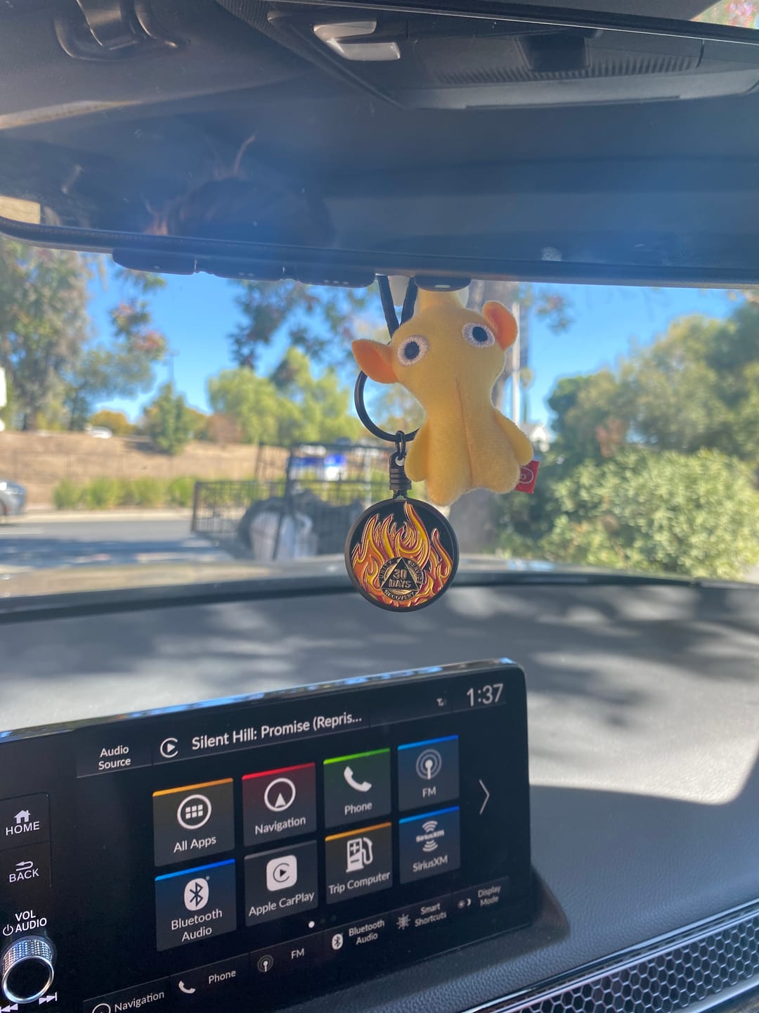 Customer photo review of 30 Days Sobriety Mint Twisted Flames Gold Plated AA Recovery Medallion - 1 Month Chip/Coin - Black/Red/Orange/Yellow