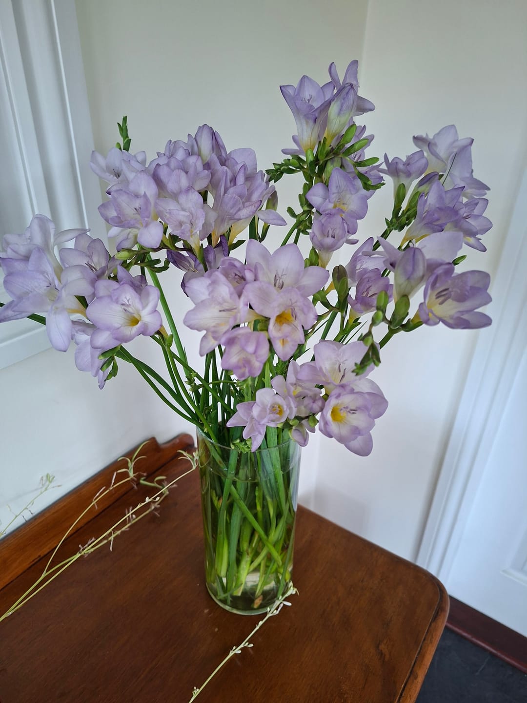 Customer photo review of Lilac Guernsey Long Stem Freesia Flowers