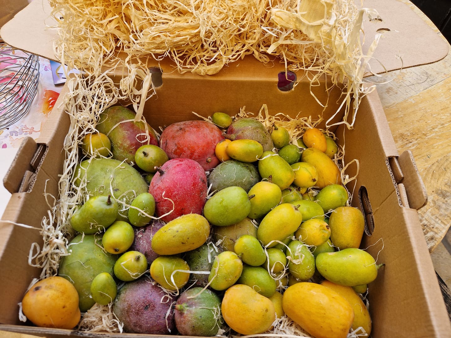 Customer photo review of Baby Zuckermango Ataulfo Bio von Julian