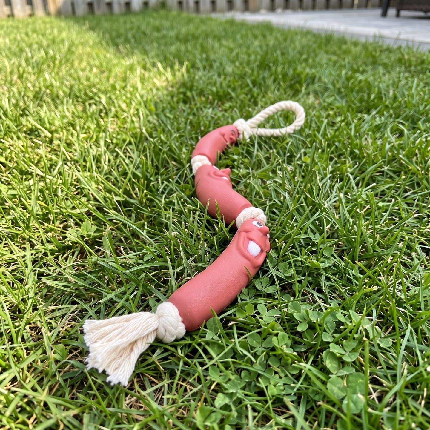Customer photo review of Chew Toy That Saves Your Shoes & Cables