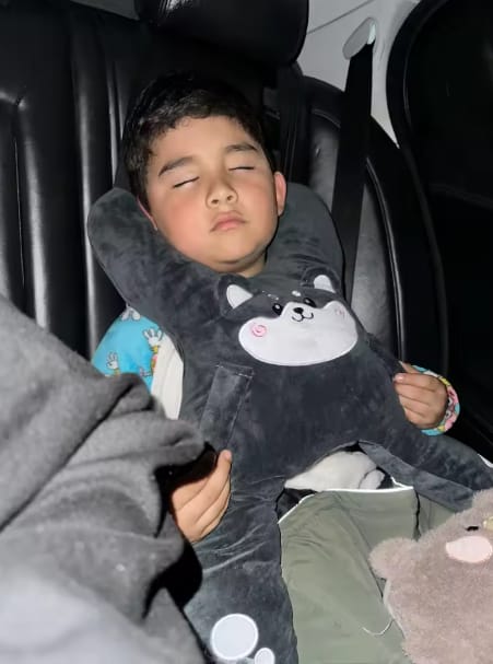 Customer photo review of Dormilú™ - Cojín de Viaje para Niños